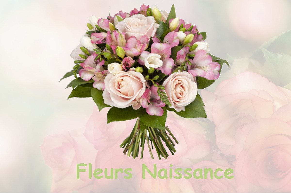 fleurs naissance MAISEY-LE-DUC